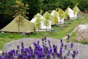 Gallery image of Glamp-Inn Kapolcs in Kapolcs