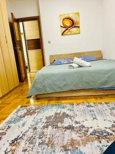 ein Schlafzimmer mit einem Bett und einem Teppich auf dem Boden in der Unterkunft Nancy apartment in Skopje