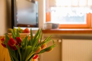 eine Vase mit einem Blumenstrauß in der Küche in der Unterkunft Apartament Pod Bukami Wisła Bukowa in Wisła