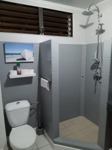 ル・ディアマンにあるTropic Bellevueの小さなバスルーム(トイレ、シャワー付)