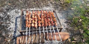 a bunch of skewered meat on a grill at LeoSani in Lagodekhi