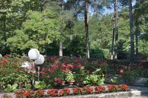 A garden outside Bed&Garden