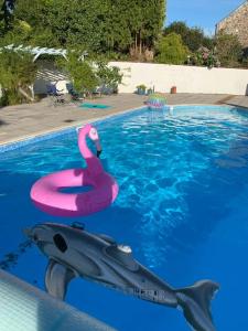 a swan and a dolphin in a swimming pool at Siblyback Cottage in Launceston