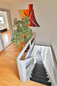 una escalera con plantas en una habitación en Große Gruppen- Ferienwohnung am See Allgäu Munich Castle, en Lechbruck