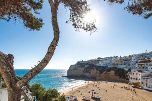 Naturlandskabet i nærheden af lejligheden