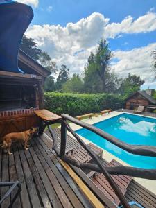 a cat standing on a deck next to a swimming pool at Cabañas Huinca Mapu - Sierra de los Padres in Sierra de los Padres