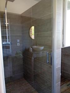 ein Bad mit einem Waschbecken und einer Dusche in der Unterkunft Chambre d hotes de charme in Vernon