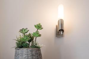 a light with plants in a basket next to a wall at GuestReady - Porto Magic View in Bandeira +20 photos