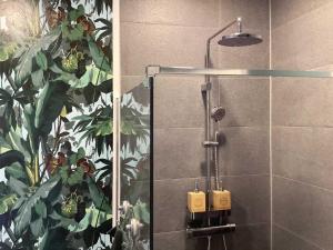 eine Dusche mit einer Glastür mit einer Pflanze in der Unterkunft viel Platz, 1-2 große Schlafzimmer, Küche mit Essplatz, Balkon, nahe Centro & Arena in Oberhausen