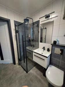 a bathroom with a shower and a toilet and a sink at Ranczo pod lasem in Witnica