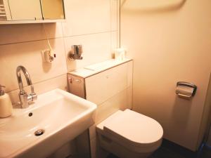 La petite salle de bains est pourvue de toilettes et d'un lavabo. dans l'établissement Apartment in Bad Grund (Harz), à Bad Grund