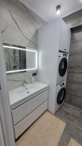 a bathroom with a sink and a washing machine at АЭРОПОРТ-НОМЕРА-ТАКСИ-ПАРКИНГ in Chişinău