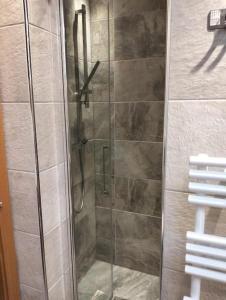 een douche met een glazen deur in de badkamer bij Le Sorelle Apartments 2 in Ferden