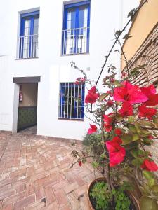 una planta con flores rojas delante de un edificio en El Rincón del Azahar, dúplex con encanto, en Córdoba