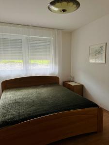 een slaapkamer met een bed en een raam bij Westfalenpark Apartment with terrace and free parking in Dortmund