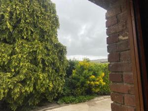 博爾貝克的住宿－BOLBEC Manoir De CALTOT，从花园的砖墙欣赏美景