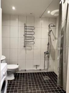 a bathroom with a shower and a toilet and a sink at City Center Residence - 64 m2 St Eriksplan in Stockholm
