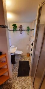 y baño con 2 aseos, lavamanos y ducha. en Chalet Idylka, en Saignelégier