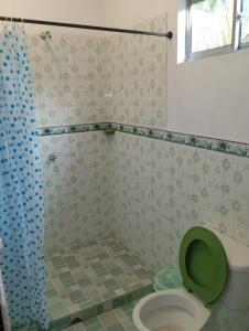 łazienka z toaletą z zielonym fotelem w obiekcie Villa del Carmen e hijos w mieście San Antero