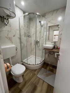 een badkamer met een douche, een toilet en een wastafel bij Apartman TeNeN in Knin