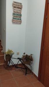 dos plantas en una mesa junto a una pared en Casa La Parra Teruel, en Villastar