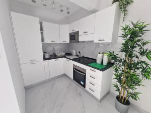 een witte keuken met witte kasten en een potplant bij Top Floor with terrace and 5 mins walk to centre in Marsaskala