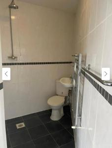 a bathroom with a toilet and a sink at 29 ASHBURTON STREET in Stoke on Trent