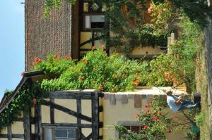 a man standing on the side of a building with flowers at Gästezimmer - Fuhrhalterei Maul in Breuberg