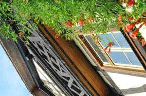 a window on a building with a plant at Gästezimmer - Fuhrhalterei Maul in Breuberg