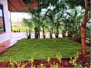 mały trawnik z drzewami na dziedzińcu w obiekcie Golden Magnolia Homestay w mieście Bengaluru