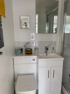 a bathroom with a sink and a toilet and a mirror at Rooms in Hadleigh,Essex in Hadleigh