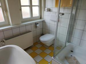 a bathroom with a toilet and a shower and a sink at Hotel Steinhagen in Damnatz