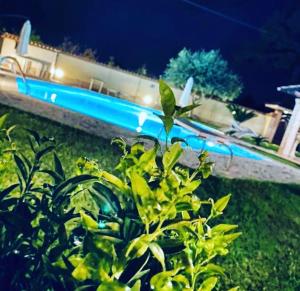 Bazén v ubytování Luxury B&B Resort nebo v jeho okolí