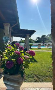 Zahrada ubytování Luxury B&B Resort