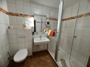 ein Bad mit einem WC, einem Waschbecken und einer Dusche in der Unterkunft Hotel Steinhagen in Damnatz