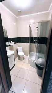 een badkamer met een douche, een toilet en een wastafel bij Pałac Dąbrowa in Dąbrowa Górnicza