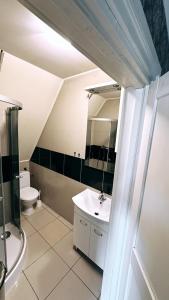 a bathroom with a sink and a toilet at Pałac Dąbrowa in Dąbrowa Górnicza