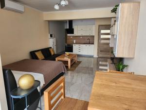 Φωτογραφία από το άλμπουμ του Studio apartman Borlin σε Karlovac
