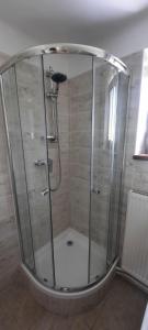 a shower with a glass door in a bathroom at Apartmán pod Javořicí in Studená