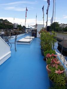 un pont bleu avec des plantes sur un navire dans l'établissement peniche l oiseau bleu, à Lyon