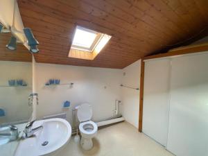 a bathroom with a toilet and a sink and a skylight at Villa Capbreton, 4 pièces, 6 personnes - FR-1-413-114 in Capbreton