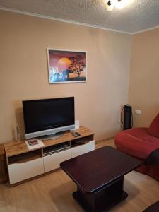un soggiorno con TV a schermo piatto su un tavolo di Apartma Pr Maruši a Bovec