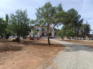 eine unbefestigte Straße mit Bäumen vor einem Gebäude in der Unterkunft casa sierrecilla in Fuente de Piedra