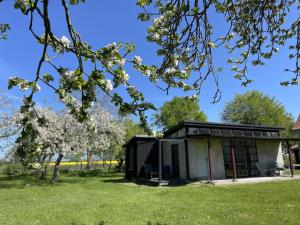 Zahrada ubytování Ferienwohnung Teehaus + 16 fotografií