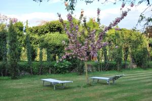 einen Park mit einer Bank und einem Baum mit lila Blumen in der Unterkunft Villa Visocchi Bed and Breakfast in Atina