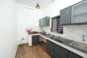 Kuchyň nebo kuchyňský kout v ubytování VILLA MANTRAA