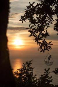 um pôr-do-sol sobre o oceano com uma árvore em primeiro plano em Habitat Eco Farm em Sorrento