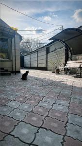 a black cat sitting on a patio next to a building at Fam_House in Bishkek