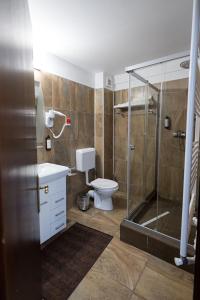 クンプルングにあるHotel Ciobanasuのバスルーム(トイレ、ガラス張りのシャワー付)