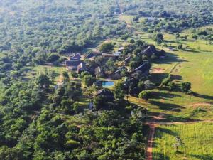 an aerial view of a house in a forest at Bushveld Venue in Mabula